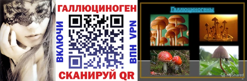Псилоцибиновые грибы прущие грибы  Купить закладки  Северо-Курильск 